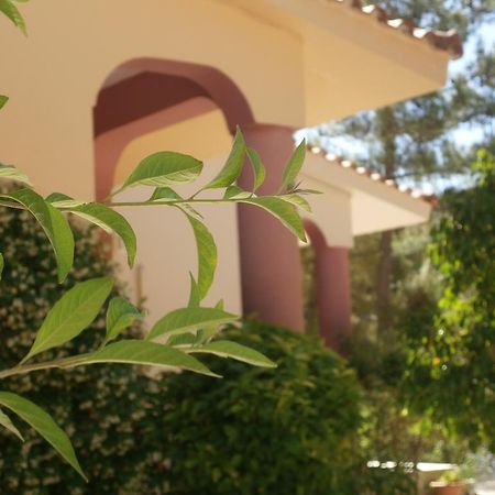 Kefallonia Bay Resort Spartia  Bagian luar foto