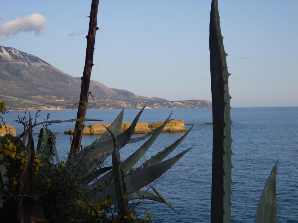 Kefallonia Bay Resort Spartia  Bagian luar foto