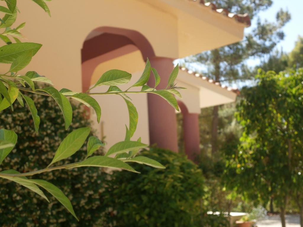 Kefallonia Bay Resort Spartia  Bagian luar foto